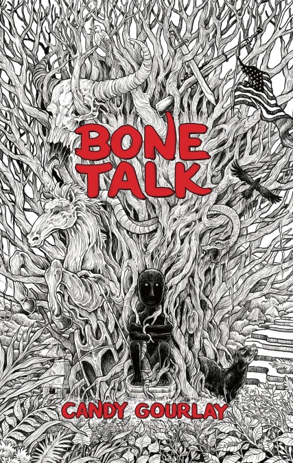 Image result for Bone Talk Courlay